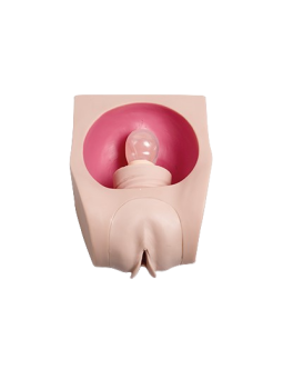 FEMALE CONTRACEPTION PRACTICE SIMULATOR 